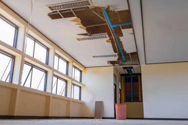 Best Water damage restoration mold remediation  in Al Creek, CO