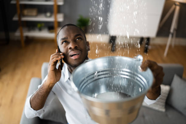 Water damage restoration mold remediation in Coal Creek, CO