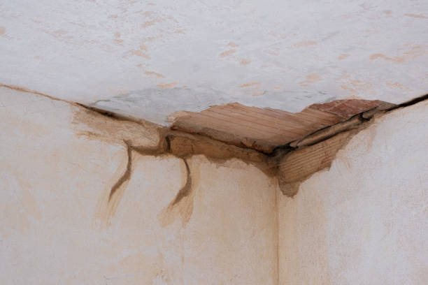 Best Local water damage restoration  in Al Creek, CO
