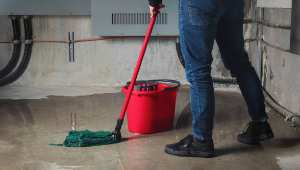 Best Flood restoration services  in Al Creek, CO