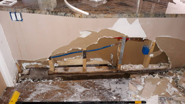 Best Water damage contractors near me  in Al Creek, CO