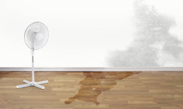 Best Residential water damage restoration  in Al Creek, CO