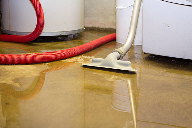 Best 24/7 water damage repair  in Al Creek, CO