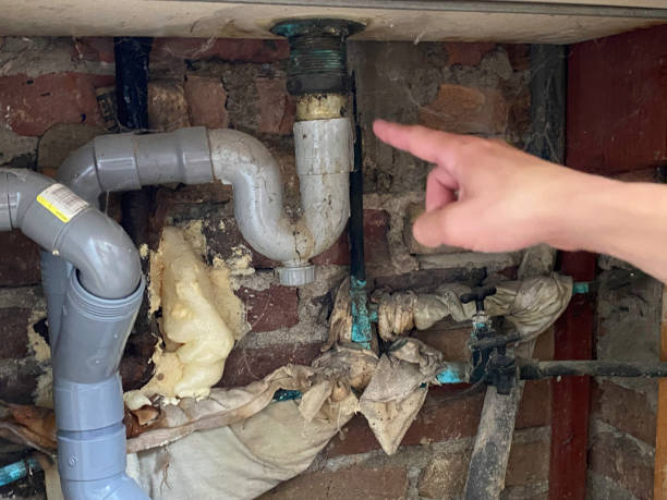 Best Water damage contractors near me  in Al Creek, CO