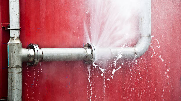 Best Water damage cleanup near me  in Al Creek, CO
